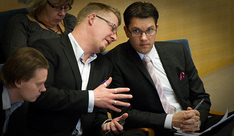 110126_sverigedemokraterna_464_2.jpg