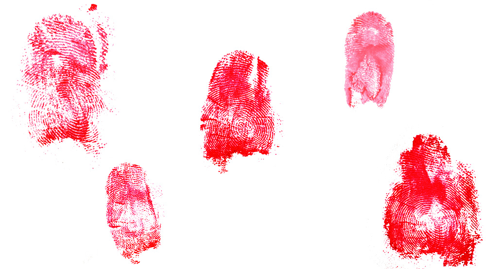 Fingerprints, LLC, Live life claim, Sovereign citizen, Suveräna medborgarrörelsen, Konspirationism