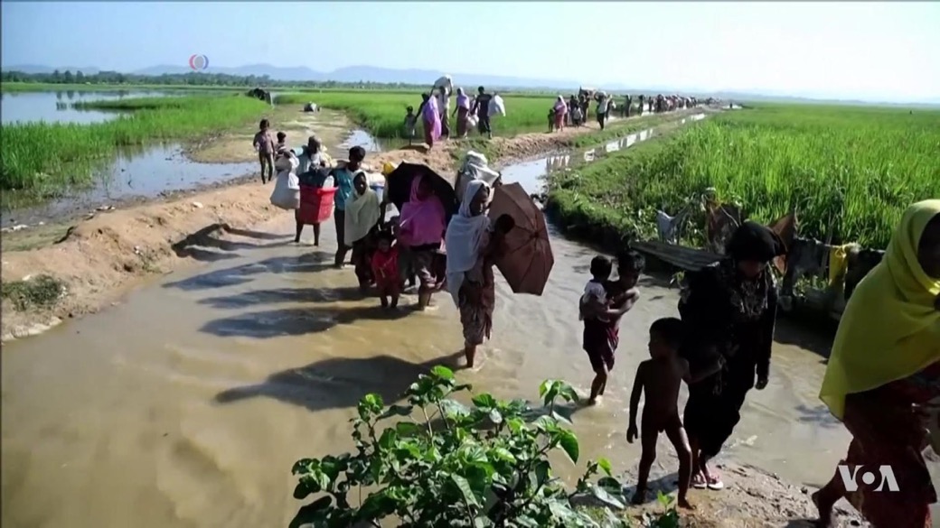 Rohingyer korsar gränsen mot Bangladesh efter att ha fördrivits från Myanmar.